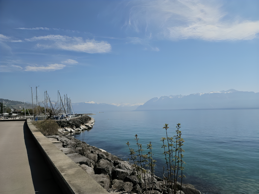 Restaurant du Port de Pully suisse